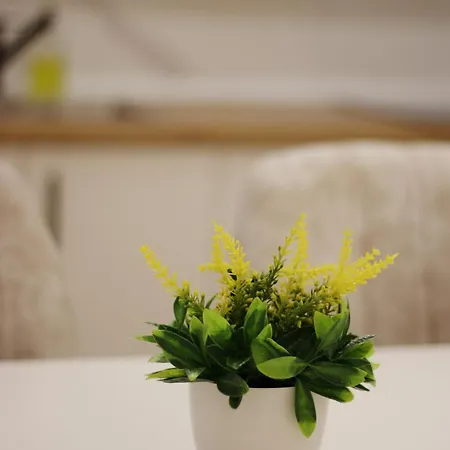 S Lux Center アパート スコピエ