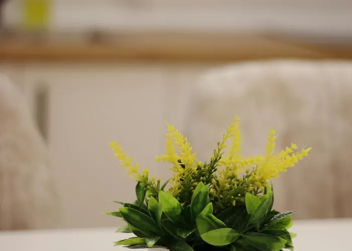 S Lux Center Daire Üsküp